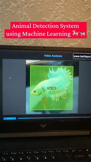 Animal Detection System using Machine Learning 🐮🐴 #python #pythonprojects #techieprojects