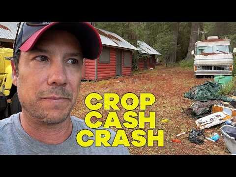 California’s Former Pot Towns Are Slowly Fading Away