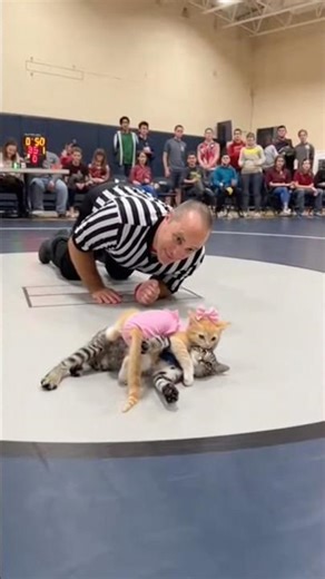 This Kitten's Technique Is Insane #amazing #viral