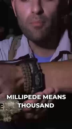 On today’s episode of MythBusters… #millipede #bug #animals #bravewilderness | Brave Wilderness