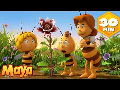 Maya salva el Festival de las Flores 🌸😱 La Abeja Maya | Episodios Completos | Dibujos para Niños
