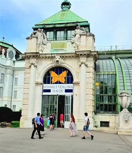 Imperial glory ☆Horses ☆Butterflies ☆Palaces a cup of coffee and a slice of cake all sprinkled with a bit of excellence followed by more butterflies in the Jugendstil Palmenhaus Hofburg Burggarten… | Stephen Fried