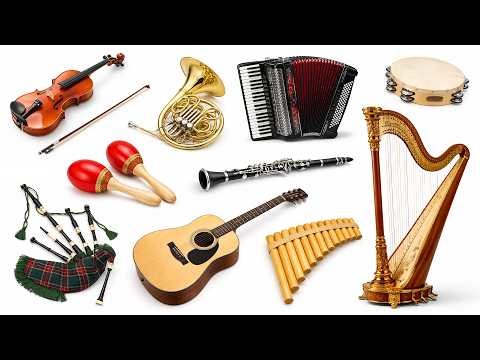 Musical Instruments Names and Sounds