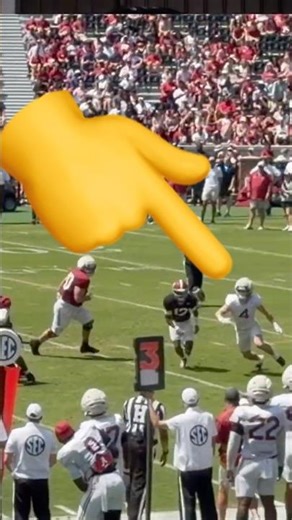 Most Improved Linebacker: Alabama's Luke Metz