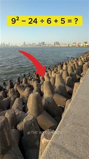 Why Engineers Put Rocks in the Sea! 🤯 #facts