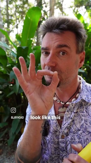 How to play Didgeridoo