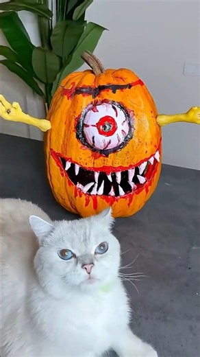 Halloween pumpkin was chasing me🎃