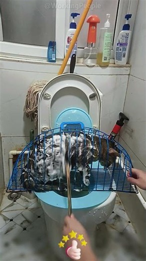 DIY Auxiliary Tools for Pet Bathing Anti-Scratch & Bite 🐾🛁