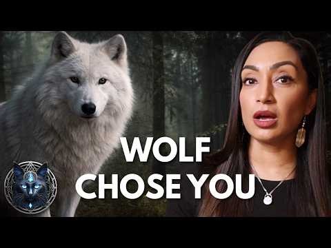 The Wolf Was a Sign… Here’s Why...