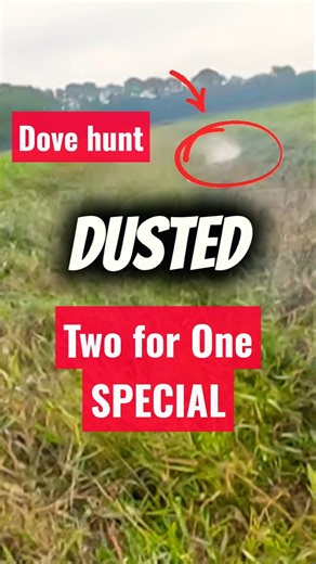 Two birds One Stone | Dove Hunting