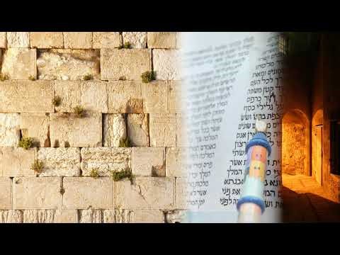 Live with Rabbi Yosef Mizrachi