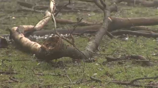 Severe storms bring hail, heavy rain to parts of Western N.Y.