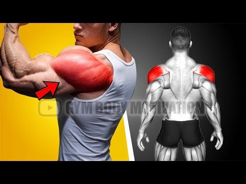 The 7 Greatest Rear Delt Exercises