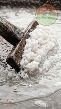 Harvesting Sea Salt: The Pyramid Flake (Macro ASMR)