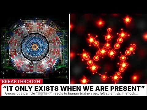 CERN’s 2026 Run Found a Particle That Reacts to Human Presence