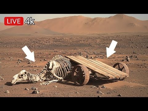 Perseverance Rover Latest Images SOL 1820 | Mars Amazing Footage | Mars in 4k | Mars 360 :Mars photo