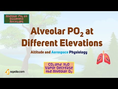 Altitude and Aerospace Physiology | Alveolar PO2 at Different Elevations