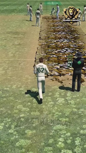 Test Match Highlights: England vs Australia in Animation