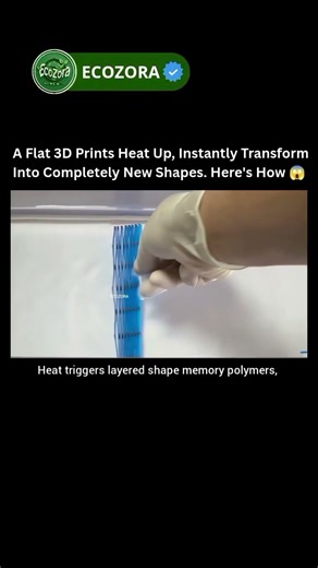 4D Printed Objects Change Shape After Heating #4dprinting #futuretech #innovation #technology