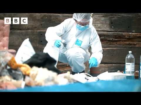 Forensics: The Real CSI | Body in the freezer - BBC