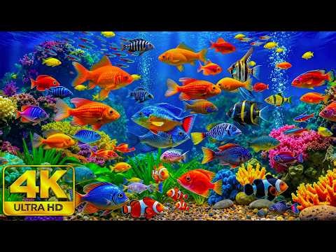 Blue Ocean Wonders 4K 🐟 Incredible Sea Creatures & Colorful Coral Reef Life