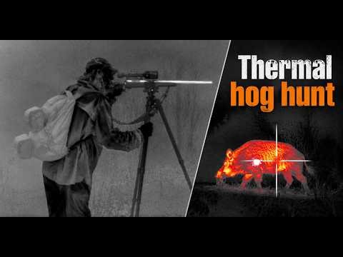 232 lb Hog with Rix s6 and ATN Thor 4 thermals
