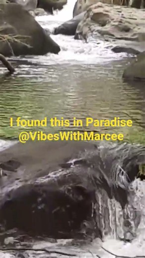 Concord River Grenada@VibesWithMarcee #Shorts #Spiceisland