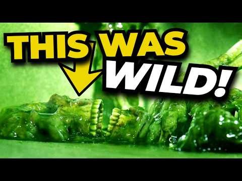 20 Recent Movie Scenes Nobody Saw Coming