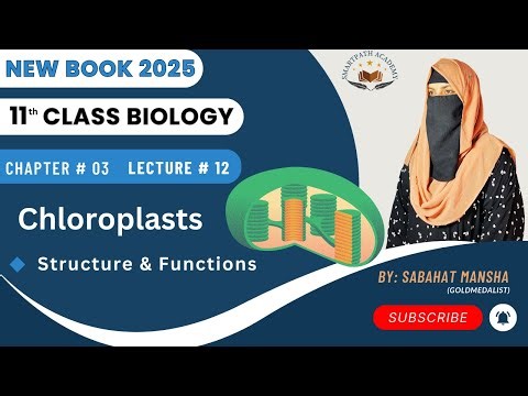 Chloroplast – Structure, Grana, Thylakoids & Functions | Class 11 Biology Ch 3 Lec 12 New Book