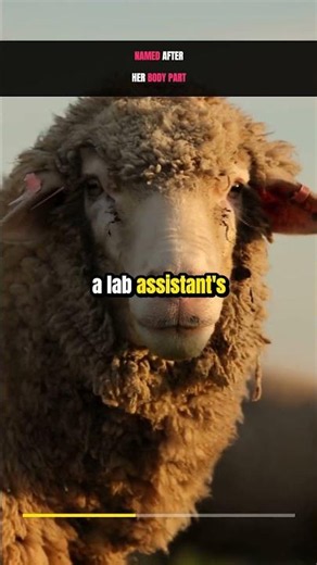 Random But True: Why The First Cloned Animal Was Named Dolly