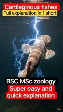 Cartilaginous Fishes (Chondrichthyes) | 5 Exam Points in 60 Sec#science #shortvideo #fish #fishing