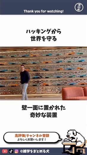 Cloudflare Lava Lamp #Trivia #SummarizingDog