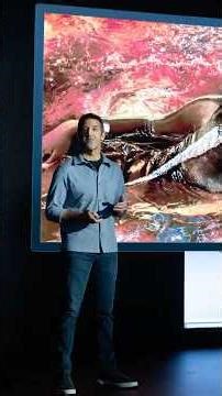 Why Apple Chose Its Product Guy as the Next CEO