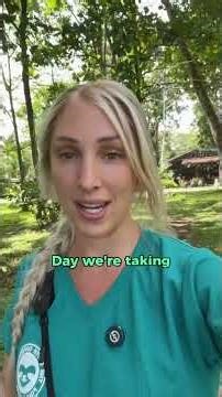 27 wild sloths in a single hectare of forest? | Earth Day