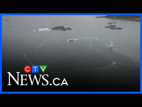 B.C. First Nation seeking compensation for cultural losses from fuel spill