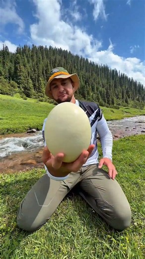He Found Giant Python Eggs… Then THIS Happened! 😱🐍