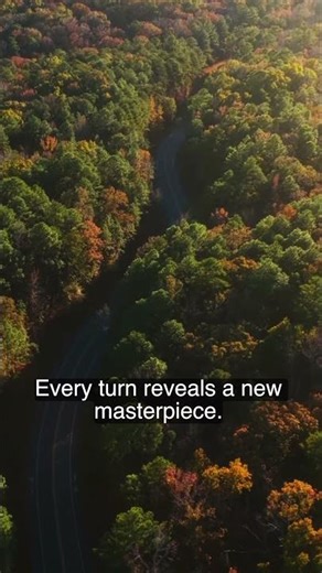 Aerial view of Autumn Forest Road in Alabama. #birmingham #alabama