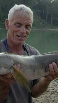 "I'm just going to put my bite-proof gloves on!" 😅