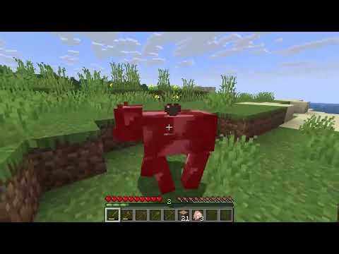 Minecraft Java Edition v26.1.2 Survival Playthrough - Episode 1
