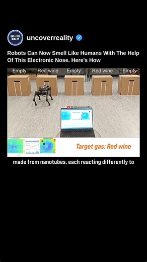 Robots Can Now Smell Like Humans With The Help Of This Electronic Nose. Here's How #robot #shorts