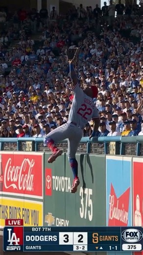 Insane Home Run Robbery at the Wall | This is a top 10 catch of the year, no debate. 🔥⚾#baseball