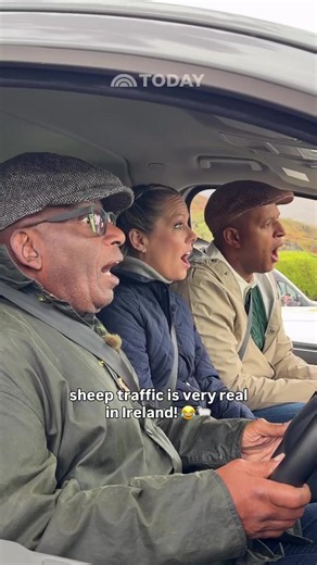 Al, Dylan and Craig are experiencing Ireland like locals! 🐑 Watch their full time at @kissane_sheepfarm on TODAY. 📌 Sponsored by Tourism Ireland (@Tourism Ireland) 📌 Venue sponsored by Sheen Falls Lodge (@Sheen Falls Lodge)