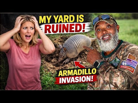 Stop Armadillos From Destroying Your Yard! (How to Track & Repel Them)