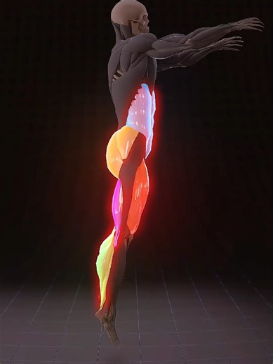 Build explosive power from the ground up with jump squats. Load, explode and land with control for stronger legs and better coordination. #JumpSquats #PowerTraining #LegDay #synermuscle #mobility