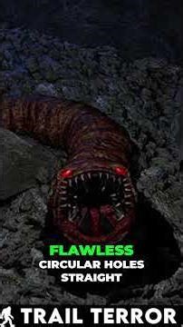 Alien Worms or Tiger Beetle Larvae? Nature's Creepy Hole Makers!