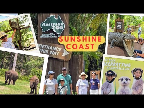 🇦🇺 Australia Zoo Vlog | Crocodiles, Kangaroos & Family Fun Day | Home of Steve Irwin 🐊🦘