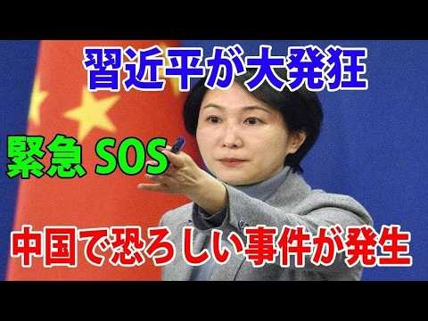 中国経済の最悪の異常信号 習近平に打つ手がない本当の理由と、不動産・失業・デフレの深刻化