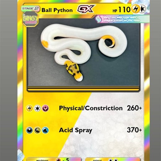 Post from Ben CincySnakes