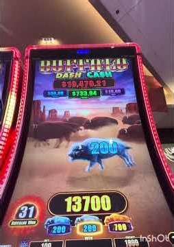 Dash for Cash 💰 $1 Bet BIG WIN! 🎰 Machine Malfunction in the Middle?! 😱 #lowbet #slots #casino