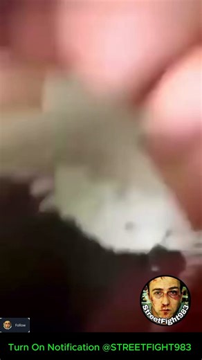 🚨PRISON FIGHT🥊Two inmates fight in their cell while others record from above but the moment a guard shows up, they act like nothing happened.